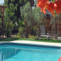 Artificial Grass Auburntown, Tennessee Rooftop, Backyard Pool