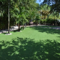 Artificial Grass Carpet Bon Aqua Junction, Tennessee Design Ideas, Commercial Landscape