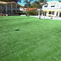 Artificial Grass Carpet Dowelltown, Tennessee Gardeners, Swimming Pool Designs