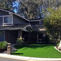 Artificial Grass Installation Bransford, Tennessee Landscaping Business, Front Yard Ideas