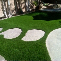 Artificial Grass Installation Lynchburg, Tennessee Roof Top, Backyard Landscaping