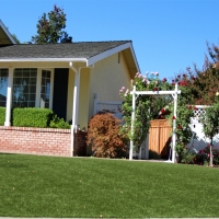 Artificial Grass White Pine, Tennessee Lawn And Garden, Front Yard Landscape Ideas