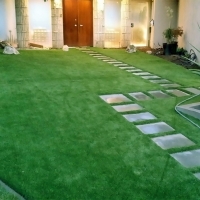 Artificial Turf Cost Bean Station, Tennessee Landscape Design, Front Yard