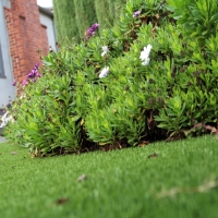 Artificial Turf Cost Ridgetop, Tennessee Landscaping Business, Front Yard Landscape Ideas