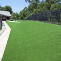 Artificial Turf Eagleville, Tennessee City Landscape, Commercial Landscape