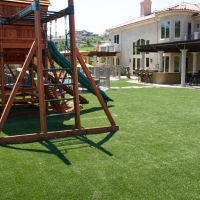 Artificial Turf Installation Pleasant Hill, Tennessee Backyard Playground, Backyard