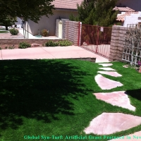 Best Artificial Grass Braden, Tennessee Pet Paradise, Front Yard Landscaping