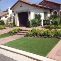 Best Artificial Grass Rossville, Tennessee Landscape Photos, Front Yard Landscaping Ideas