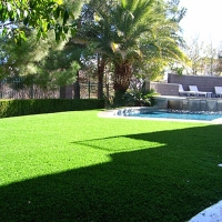 Fake Grass Carpet Philadelphia, Tennessee Landscaping Business, Kids Swimming Pools