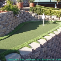 Fake Grass Lakeland, Tennessee Gardeners, Backyard Designs