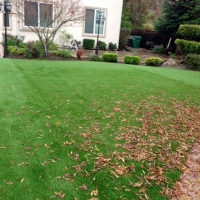 Fake Lawn Puryear, Tennessee Landscape Design, Backyards