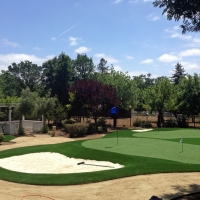 Fake Turf New Johnsonville, Tennessee Office Putting Green, Front Yard Landscaping