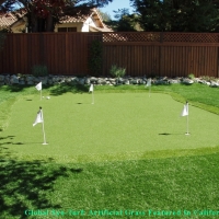 Fake Turf Piperton, Tennessee Backyard Deck Ideas, Beautiful Backyards