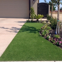 Grass Carpet Harrison, Tennessee Rooftop, Front Yard Design