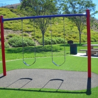 Grass Carpet Hillsboro, Tennessee Athletic Playground, Parks