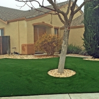 Grass Carpet Oakdale, Tennessee Lawn And Landscape, Landscaping Ideas For Front Yard