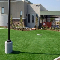 Grass Turf New Market, Tennessee Garden Ideas, Commercial Landscape