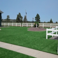 Plastic Grass Dayton, Tennessee Landscaping, Landscaping Ideas For Front Yard