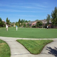 Plastic Grass Farragut, Tennessee Backyard Putting Green, Commercial Landscape