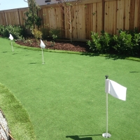 Plastic Grass Goodlettsville, Tennessee Artificial Putting Greens, Backyard Design