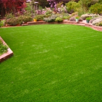 Plastic Grass Seymour, Tennessee Landscaping Business, Backyard Landscape Ideas