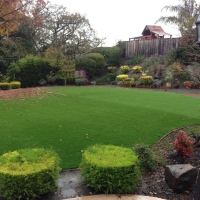 Plastic Grass Stantonville, Tennessee Landscaping Business, Backyard Landscaping Ideas