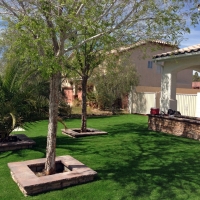 Synthetic Grass Altamont, Tennessee Backyard Playground, Front Yard Landscaping Ideas