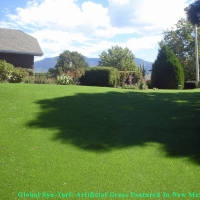 Synthetic Grass Collierville, Tennessee Artificial Grass For Dogs, Backyard Makeover