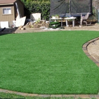 Synthetic Grass Cost Estill Springs, Tennessee Rooftop, Backyard Ideas