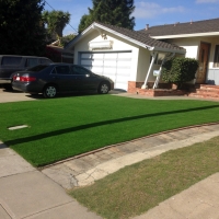 Synthetic Grass Cost Maury City, Tennessee Landscape Rock, Front Yard Landscape Ideas