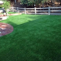 Synthetic Grass Petersburg, Tennessee Pet Paradise, Backyard Landscaping Ideas