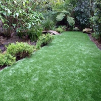 Synthetic Grass Wildwood, Tennessee Backyard Playground, Backyard Ideas