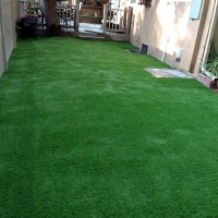 Synthetic Lawn Coopertown, Tennessee Roof Top, Backyard Landscape Ideas