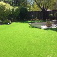 Synthetic Lawn Dresden, Tennessee Gardeners, Backyards