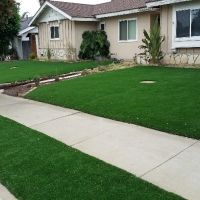 Synthetic Turf Dandridge, Tennessee Rooftop, Front Yard Design