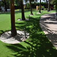 Synthetic Turf Dickson, Tennessee Cat Playground, Commercial Landscape