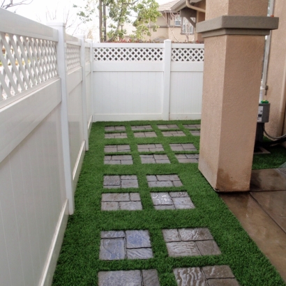 Artificial Grass Carpet Lookout Mountain, Tennessee Lawn And Garden, Pavers