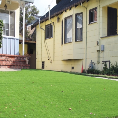 Artificial Grass Carpet Wartrace, Tennessee Landscaping, Front Yard Landscaping