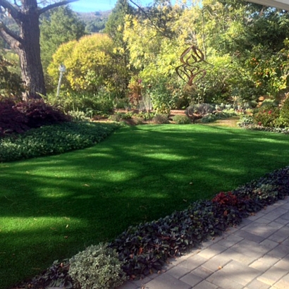 Artificial Grass Darden, Tennessee Paver Patio, Backyard Design