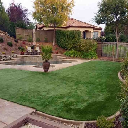 Artificial Grass Dowelltown, Tennessee Home And Garden, Backyard Design