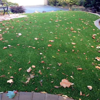 Artificial Grass Loretto, Tennessee Design Ideas, Front Yard Landscaping Ideas