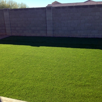 Artificial Grass Manchester, Tennessee Lawn And Landscape, Beautiful Backyards