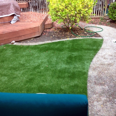 Artificial Grass Park City, Tennessee Backyard Playground, Backyards