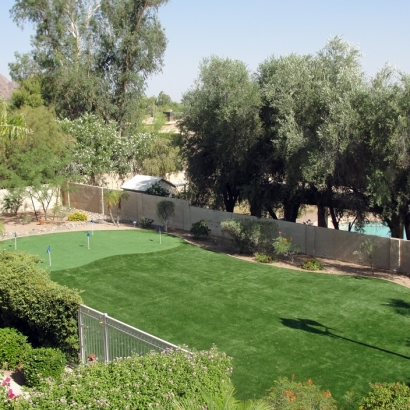 Artificial Grass Walterhill, Tennessee Rooftop, Backyard Garden Ideas