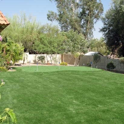 Artificial Grass Walterhill, Tennessee Rooftop, Backyard Garden Ideas