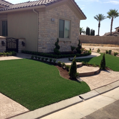 Artificial Lawn Hohenwald, Tennessee Gardeners, Front Yard Landscaping Ideas