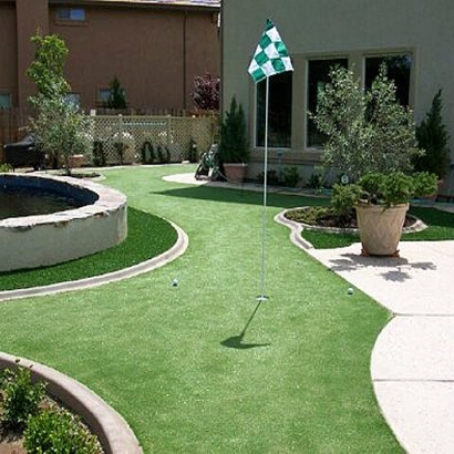 Artificial Lawn Louisville, Tennessee Garden Ideas, Backyards