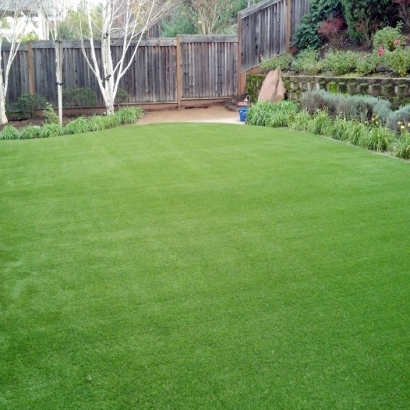 Artificial Lawn Powells Crossroads, Tennessee Lawn And Garden, Backyard Designs