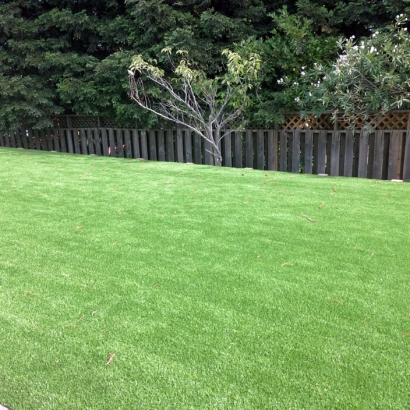 Artificial Lawn Somerville, Tennessee Home And Garden, Backyard Ideas