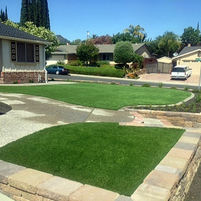 Artificial Turf Clifton, Tennessee Gardeners